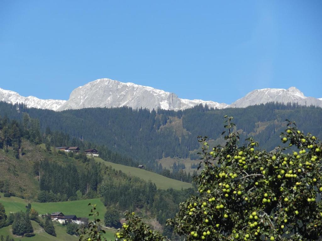 Pension Appartements Reithof Sankt Johann im Pongau Kamer foto